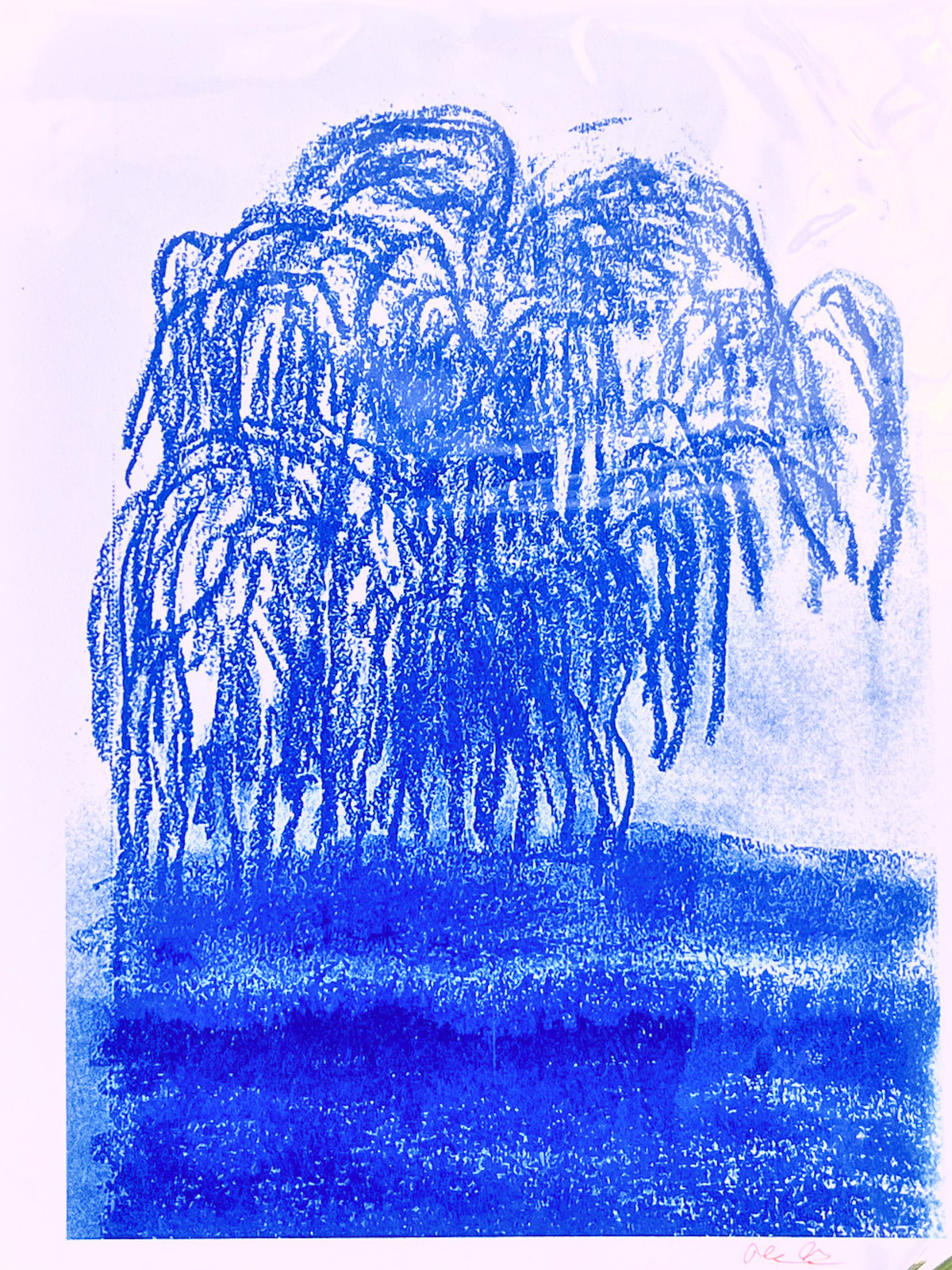 Willow tree print (8.5x11)