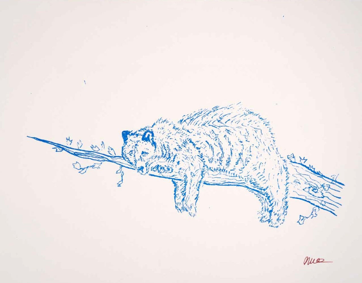 Sleepy Bear print (white)