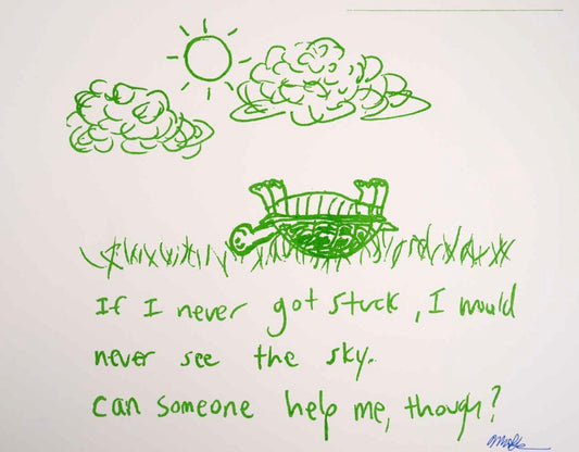 Can Someone Help Me Turtle
