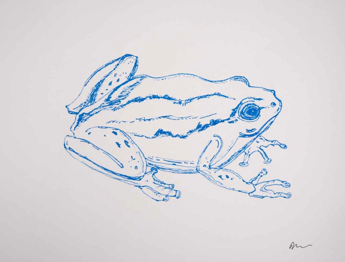 Froggy print