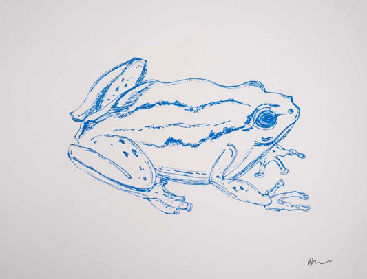 Froggy print