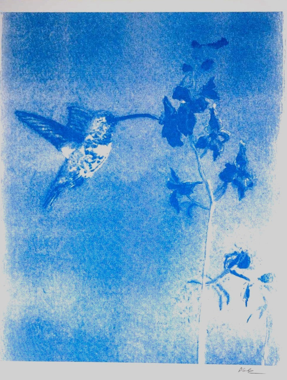 Hummingbird (8.5x11)
