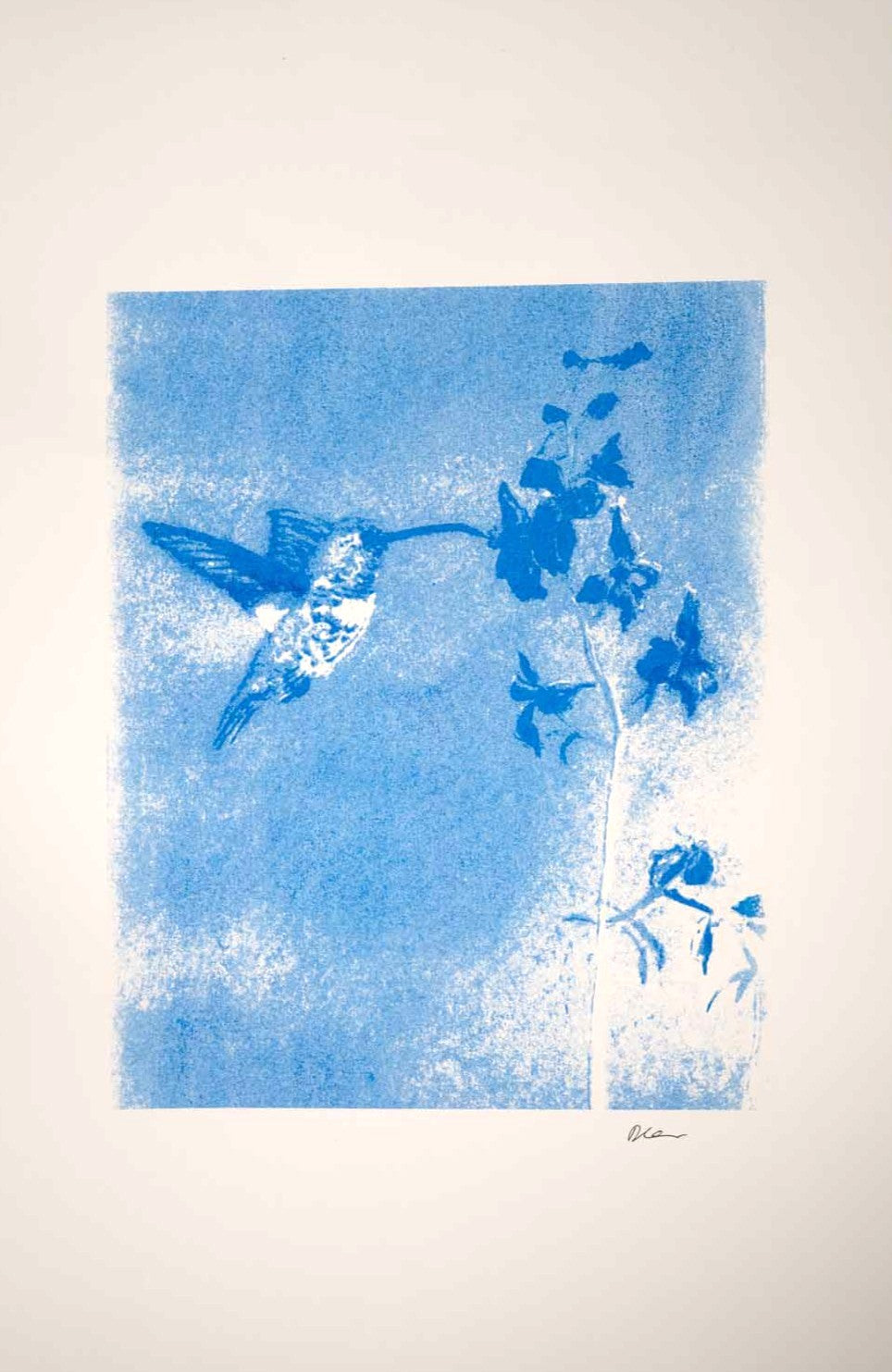 Hummingbird print (11x17)