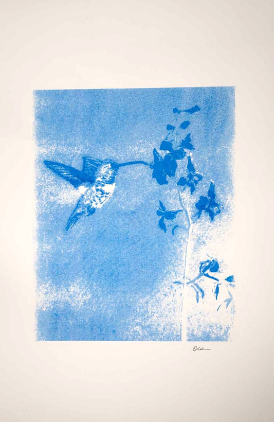 Hummingbird print (11x17)