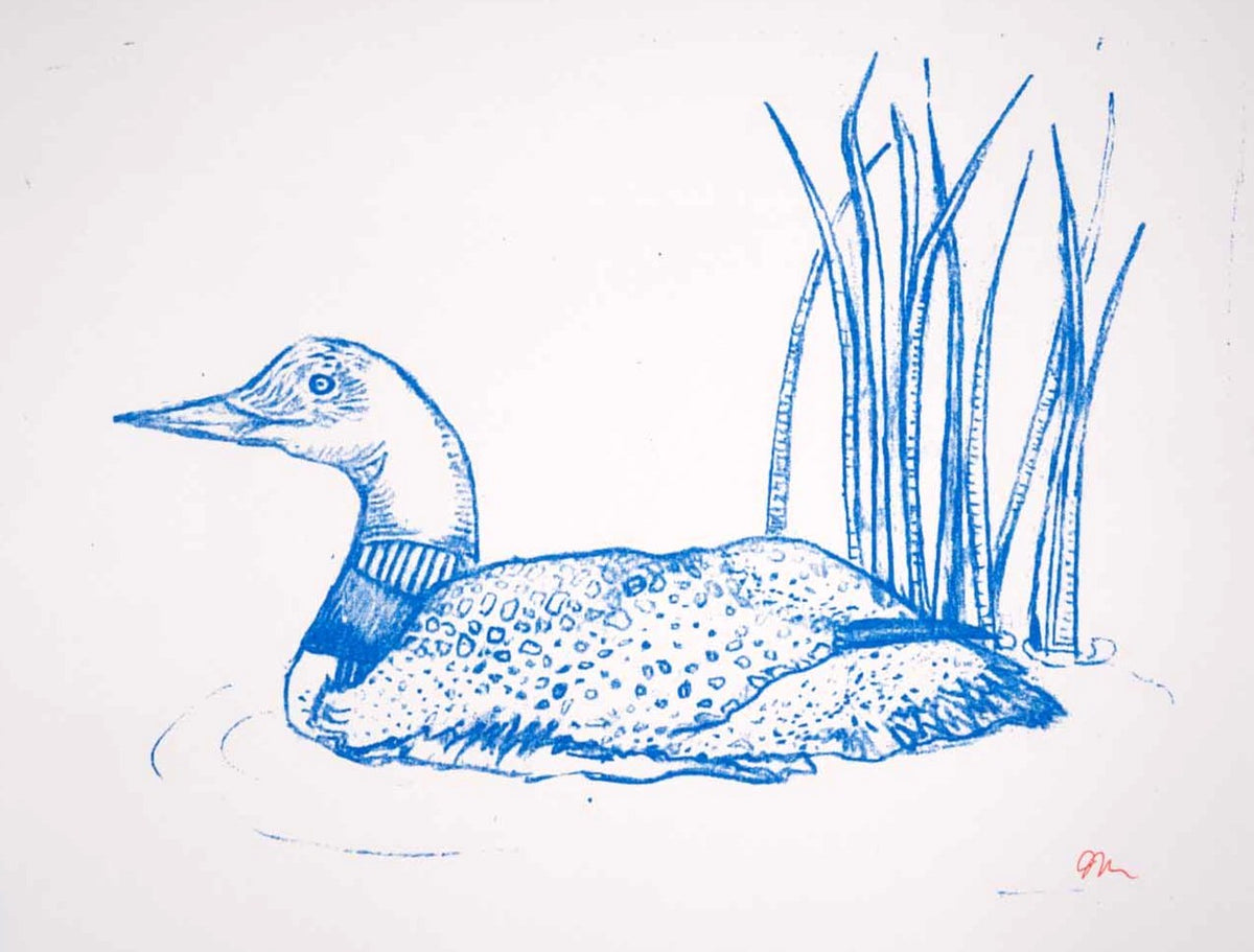 Loon print (White, 8.5x11)