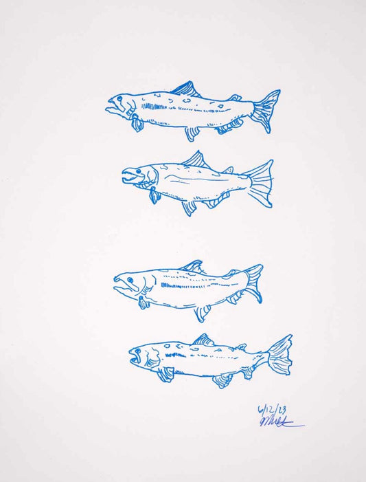 Salmon (Blue) print