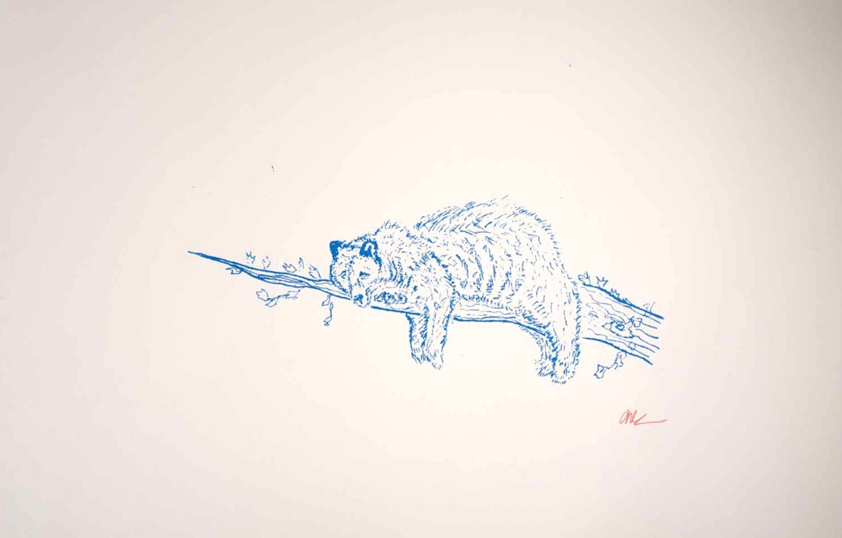 Sleepy Bear (11x17, White) print