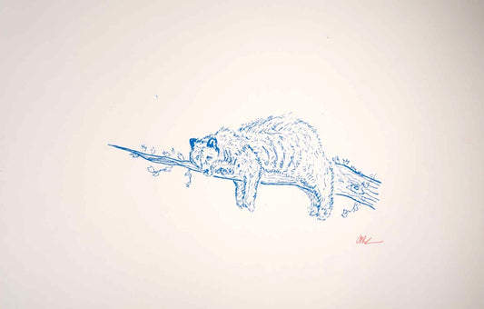 Sleepy Bear (11x17, White) print
