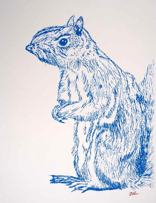 Squirrel print